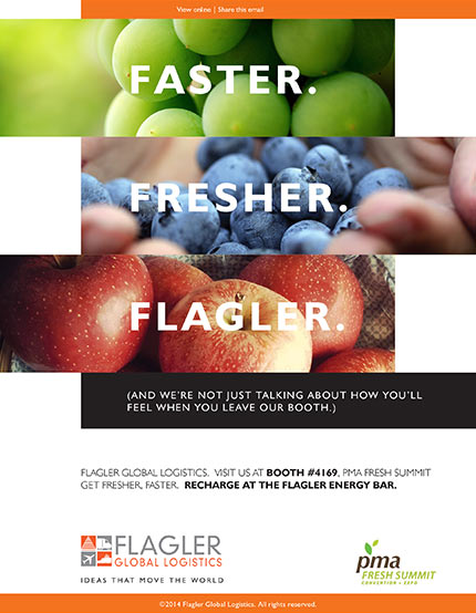 Flagler Global Logistics