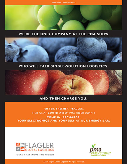 Flagler Global Logistics